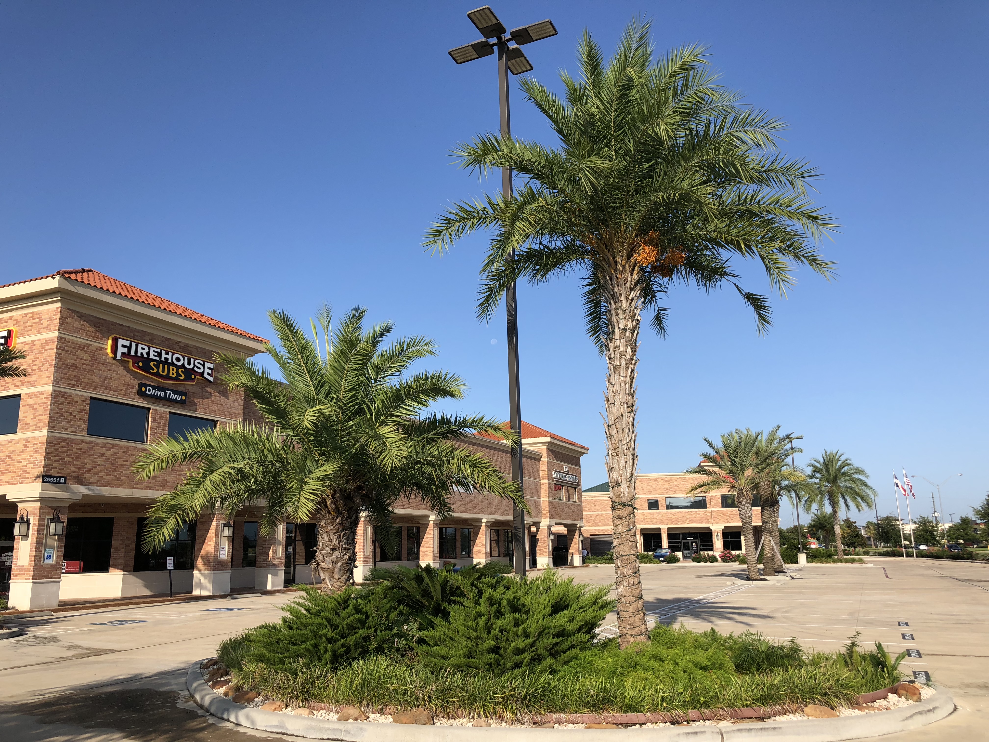 Pickleball court services in Katy, TX